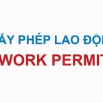 Dịch vụ làm work permit cho người nước ngoài của LAW FOR LIFE