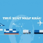 Thuế xuất nhập khẩu là gì? Ai phải nộp thuế xuất nhập khẩu?