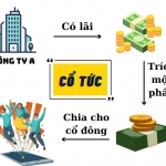 Cổ tức là gì? Chia cổ tức trong công ty như thế nào?